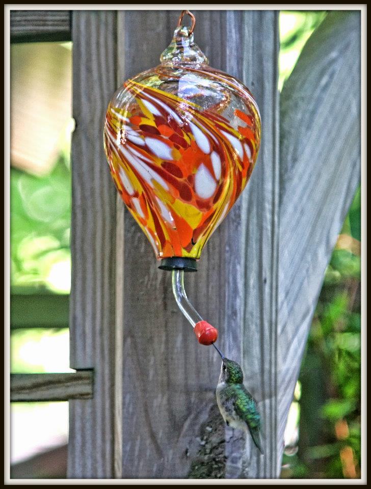 Hummingbird Feeder - Rosetree Blown Glass Studio and Gallery | New Orleans